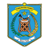 Musyawarah Desa